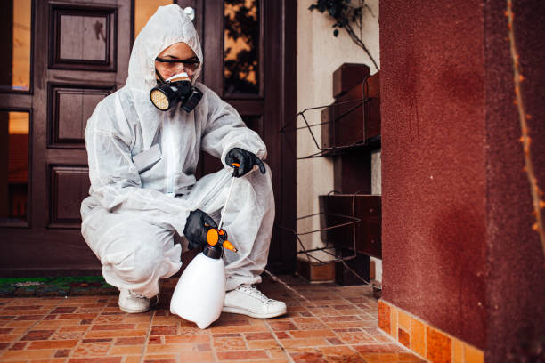 Attic and Crawl Space Rodent Treatment in Thermalito